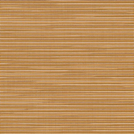 Sample of Phifertex Plus Dupioni Apricot KFE 42x14 54-inch Sling Fabric
