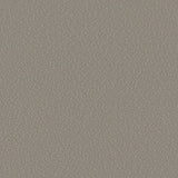 Sample of Serge Ferrari Stamskin Top Taupe F4340-20237 Upholstery Fabric