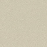 Sample of Serge Ferrari Stamskin Top Sahara F4340-20279 Upholstery Fabric