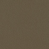 Sample of Serge Ferrari Stamskin Top Havana F4340-20285 Upholstery Fabric