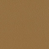 Sample of Serge Ferrari Stamskin Top Alezan F4340-20286 Upholstery Fabric