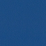 Sample of Serge Ferrari Stamskin Top Capri F4340-20288 Upholstery Fabric