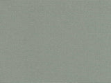 Recacril Solids Argenta Grey R-123 60-inch Shade / Marine Fabric