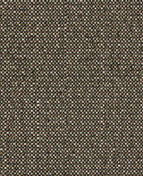 Sunbrella Savane Chameleon SAV3 J451 140 European Collection Upholstery Fabric