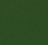 Sunbrella Canvas Calathea SJA 3999 137 European Collection Upholstery Fabric