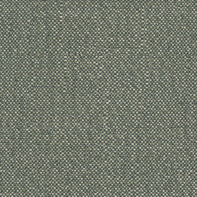 Sunbrella Savane Swamp SAV3 J449 140 European Collection Upholstery Fabric
