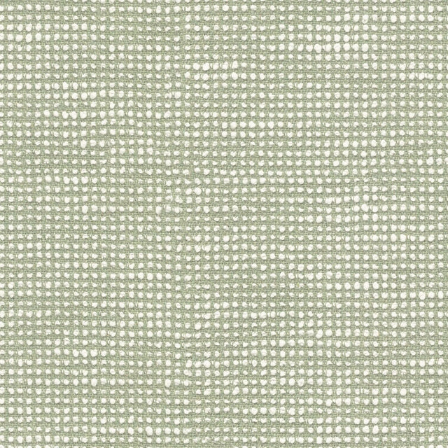 Sunbrella Slow Spirea SLO 19107 140 European Collection Upholstery Fabric