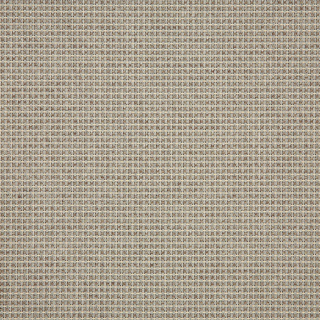 Sample of Sunbrella System Dune 3050127 Sling Fabric