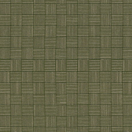 Tempotest Home Vimini Cypress 52039-7 Pillars Collection Upholstery Fabric
