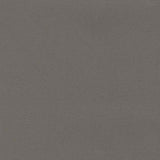 Sample of Top Gun 459 Taupe 62-Inch Marine Topping and Enclosure Fabric