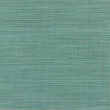 Phifertex Plus Straw Mat Blue LBY 54-inch Sling Fabric