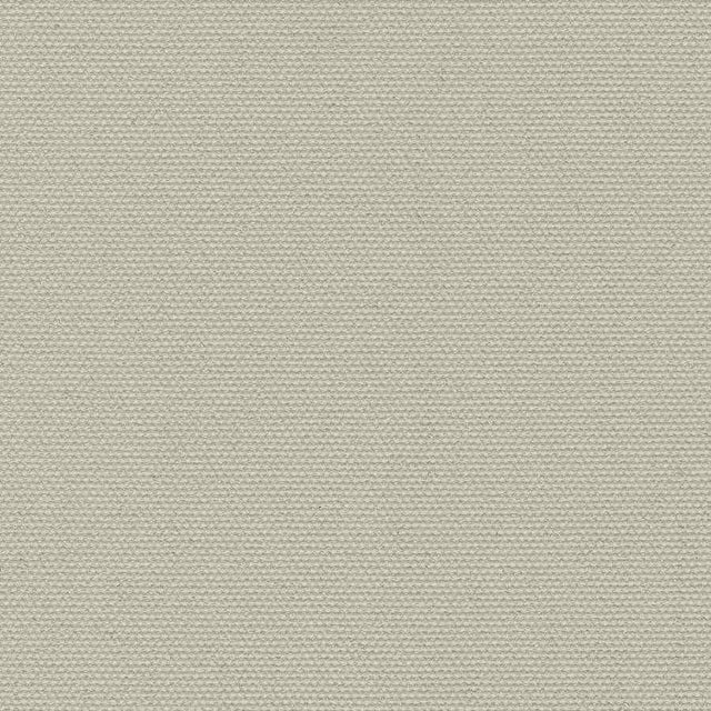 Top Gun 472 Birch 62-Inch Marine Topping and Enclosure Fabric