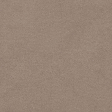 Sample of Softside Allegro 7064 Taupe Automotive / Marine Upholstery Fabric