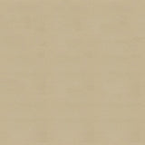 Ship to Shore Armada 118 Sand Dune Automotive / Marine Upholstery Fabric