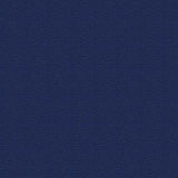 Top Gun FR Lite 710 Royal Blue 62-inch Marine Topping and Enclosure Fabric