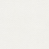 AbbeyShea Apollo 6 White Tarp Fabric