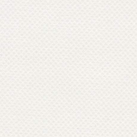 AbbeyShea Apollo 6 White Tarp Fabric