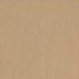 AbbeyShea Guardian 102 Champagne Automotive Seating and Upholstery Fabric
