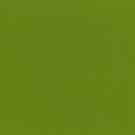 AbbeyShea Guardian 205 Spring Automotive Seating and Upholstery Fabric