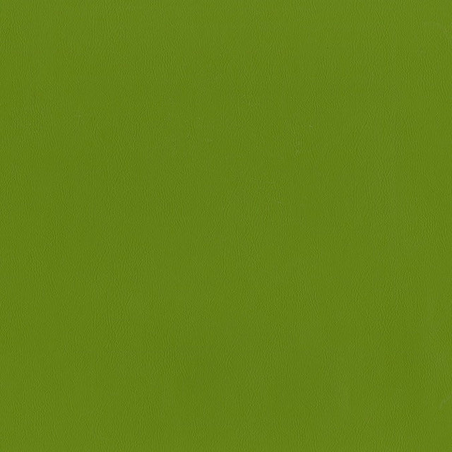AbbeyShea Guardian 205 Spring Automotive Seating and Upholstery Fabric