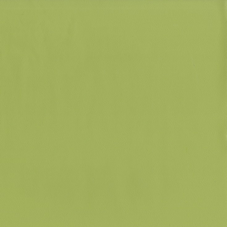 AbbeyShea Guardian 21 Meadow Automotive Seating and Upholstery Fabric