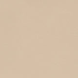 Sample of Softside Navigator 9895 Sand Dollar Automotive / Marine Upholstery Fabric