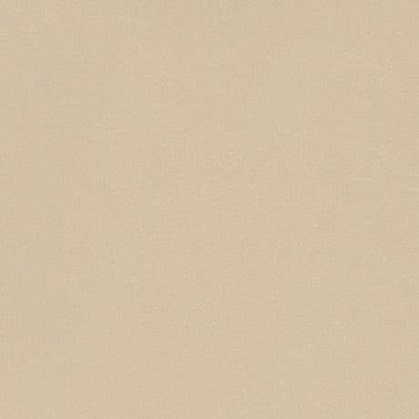 Sample of Softside Navigator 9895 Sand Dollar Automotive / Marine Upholstery Fabric