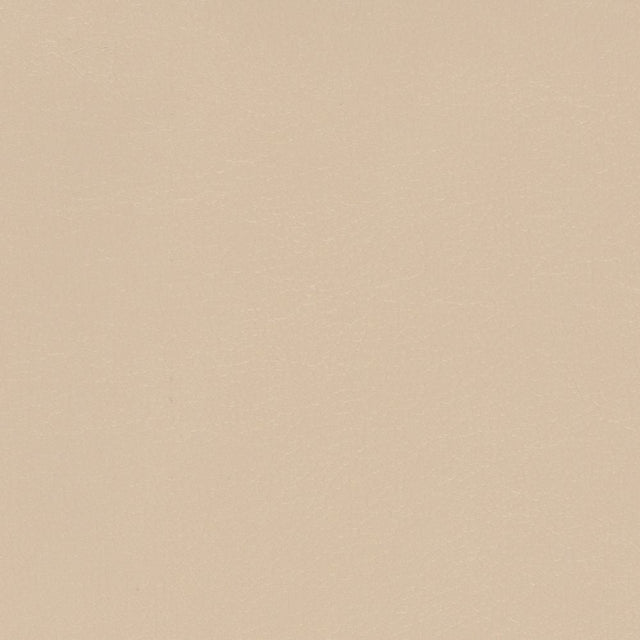 Sample of Softside Navigator 9895 Sand Dollar Automotive / Marine Upholstery Fabric