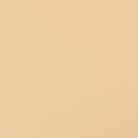 Sample of Aqualon Edge Toast 5949 60-Inch Marine/Shade Fabric