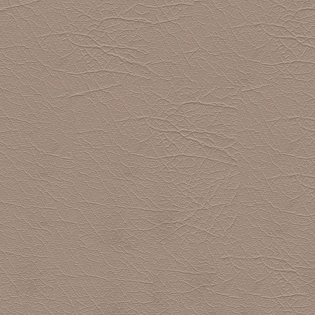 Sample of Softside Aries 1604 Sand Dolla Automotive / Marine Upholstery Fabric
