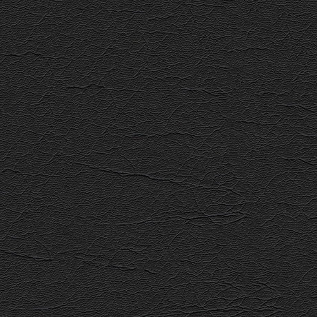 Sample of Softside Aries 1606 Ebony Automotive / Marine Upholstery Fabric