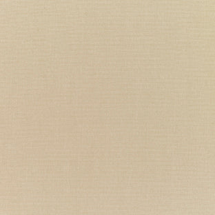 Sunbrella RAIN Canvas Antique Beige 5422-0000 77 Waterproof Upholstery Fabric