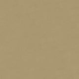 Sample of English 81 Ivory Automotive Upholstery Fabric