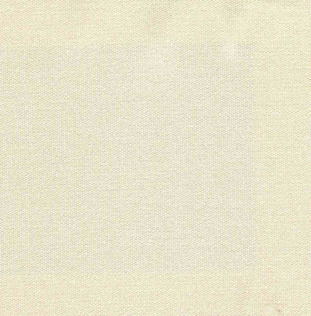 Tempotest Home Classic Flan  93/15 Foundations Collection Upholstery Fabric