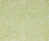 Bella Dura Conga Lime 7355 Upholstery Fabric