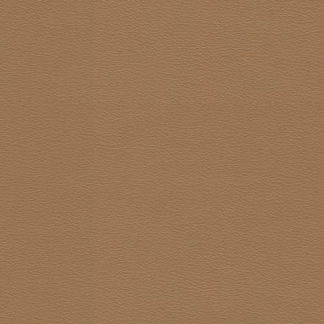 Sample of Spirit 387 Camel Contract Automotive and Marine Upholstery Fabric