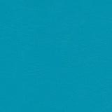 Sample of Softside Navigator 9899 Capri Automotive / Marine Upholstery Fabric