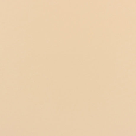 Serge Ferrari Stamoid Top Sand F3933-01897 59-Inch Marine/Shade Fabric