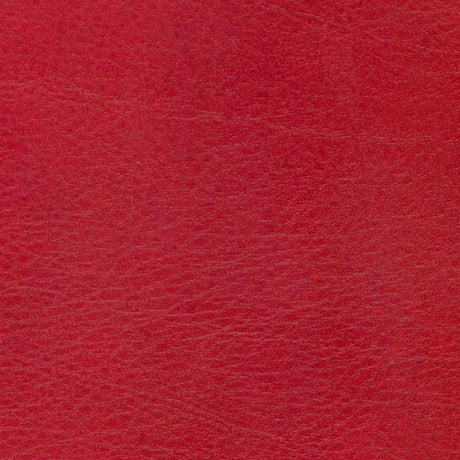 Sample of Softside Allegro 7054 Garnet Automotive / Marine Upholstery Fabric