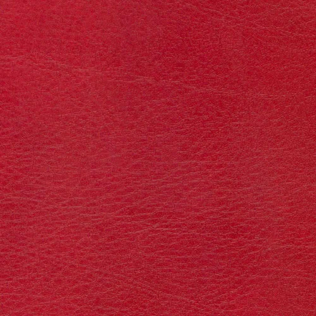 Sample of Softside Allegro 7054 Garnet Automotive / Marine Upholstery Fabric