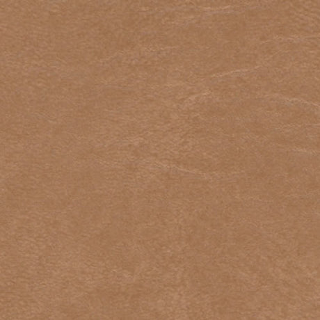 Sample of Softside Seabreeze Lt Copper 859 Upholstery Fabric