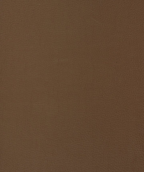 Mayer Caressa Coco  CA-000 Upholstery Fabric