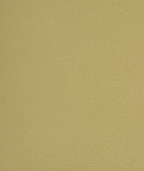 Mayer Caressa Butterscotch Ca-002 Upholstery Fabric