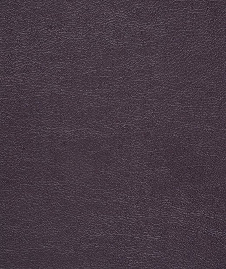Mayer Caressa Aubergine Ca-005 Upholstery Fabric