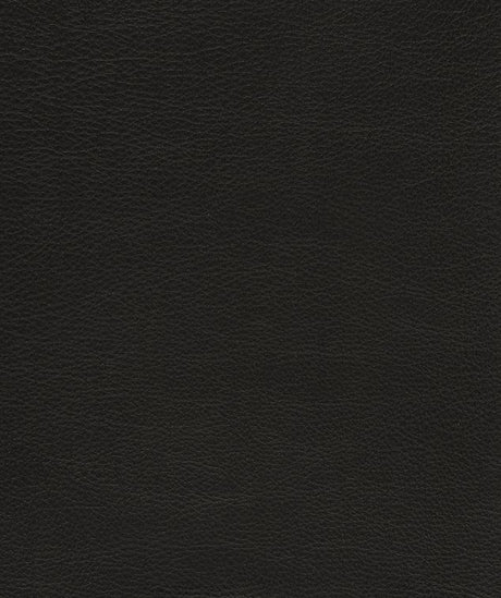 Mayer Caressa Black Ca-006 Upholstery Fabric
