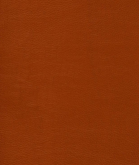 Mayer Caressa Red Clay Ca-009 Upholstery Fabric