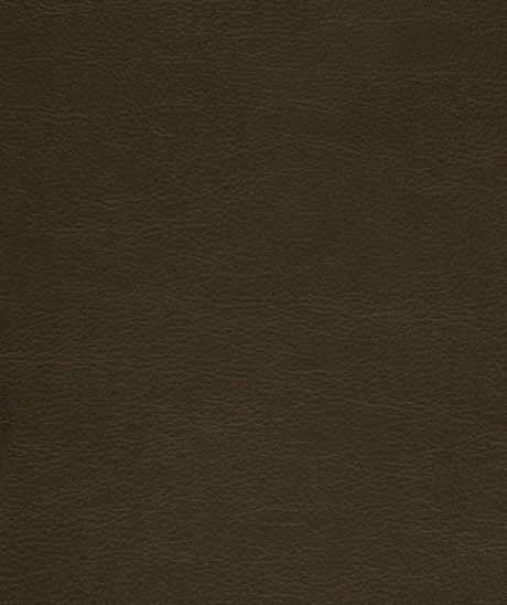 Mayer Caressa Chocolate Ca-010 Upholstery Fabric