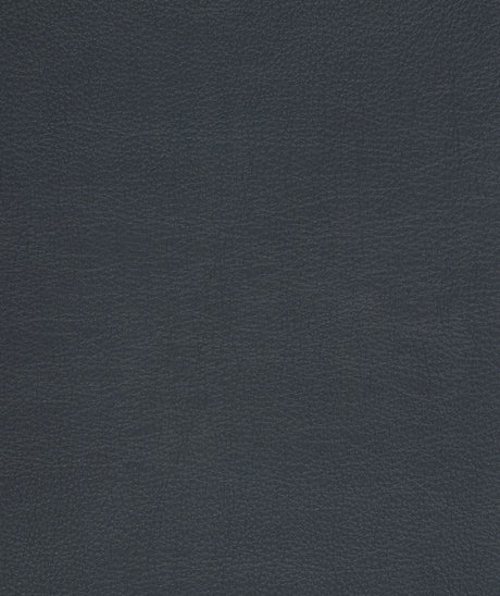 Mayer Caressa Admiral Ca-014 Upholstery Fabric