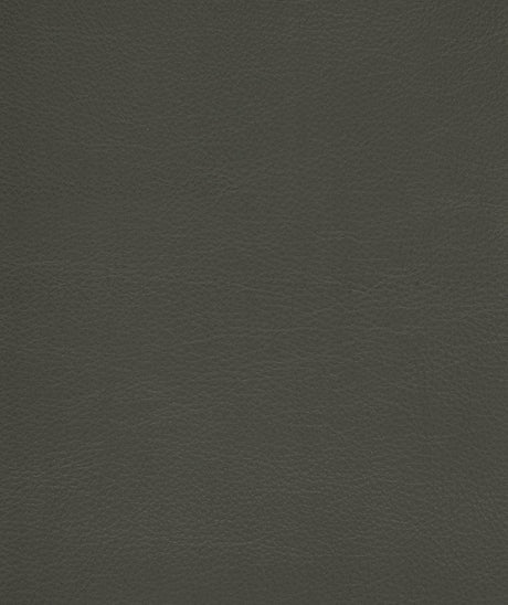 Mayer Caressa Pewter Ca-016 Upholstery Fabric