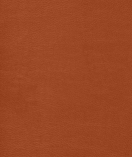 Mayer Caressa Bittersweet Ca-019 Upholstery Fabric